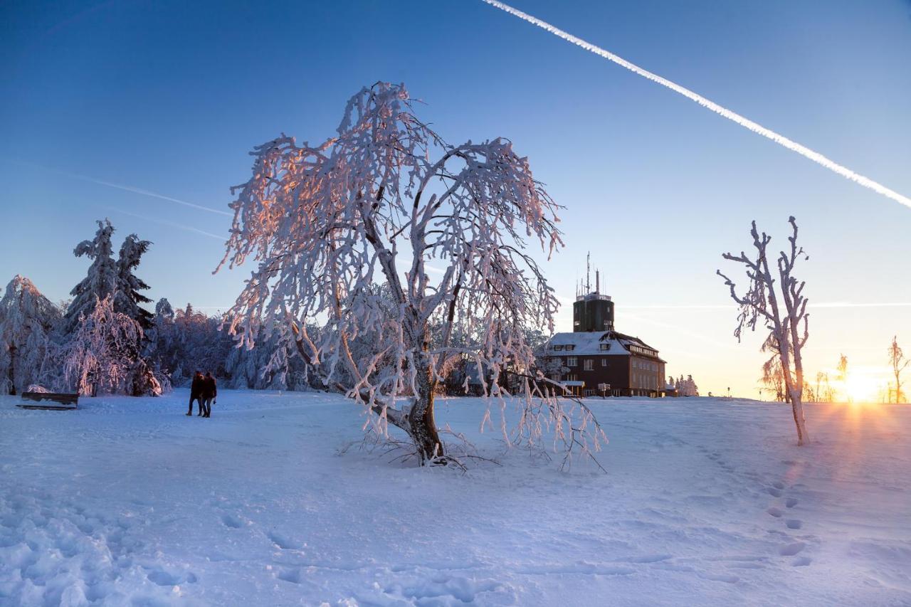 The Suite Winterberg Deluxe - Exklusive Ausstattung, Bestlage Zwischen Skikarussell Und Marktplatz, Eigener Garten, Ski- Und Fahrradraum, Ruhige Suedausrichtung, Wlan, Hundefreundlich Exterior photo
