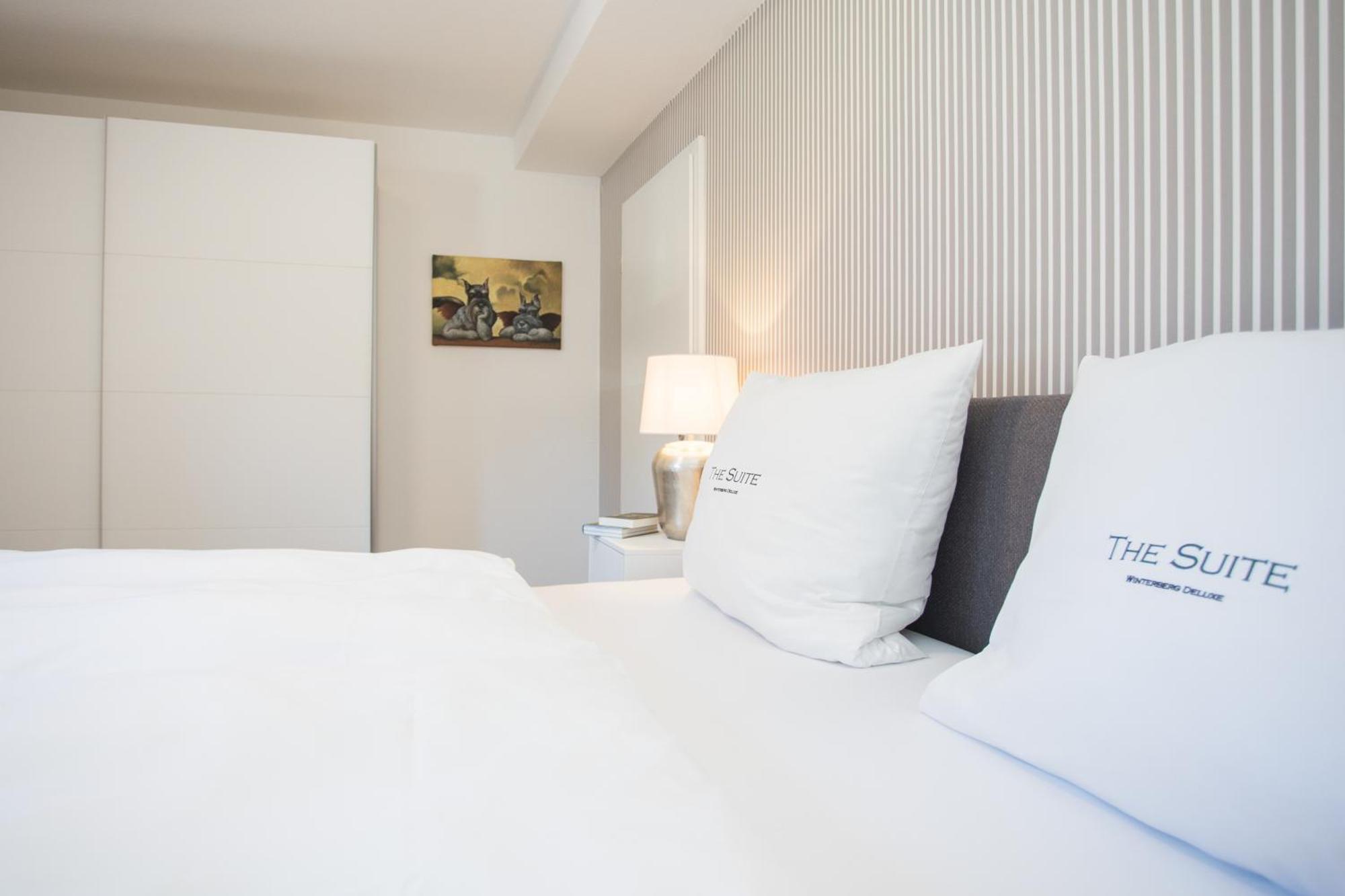 The Suite Winterberg Deluxe - Exklusive Ausstattung, Bestlage Zwischen Skikarussell Und Marktplatz, Eigener Garten, Ski- Und Fahrradraum, Ruhige Suedausrichtung, Wlan, Hundefreundlich Exterior photo