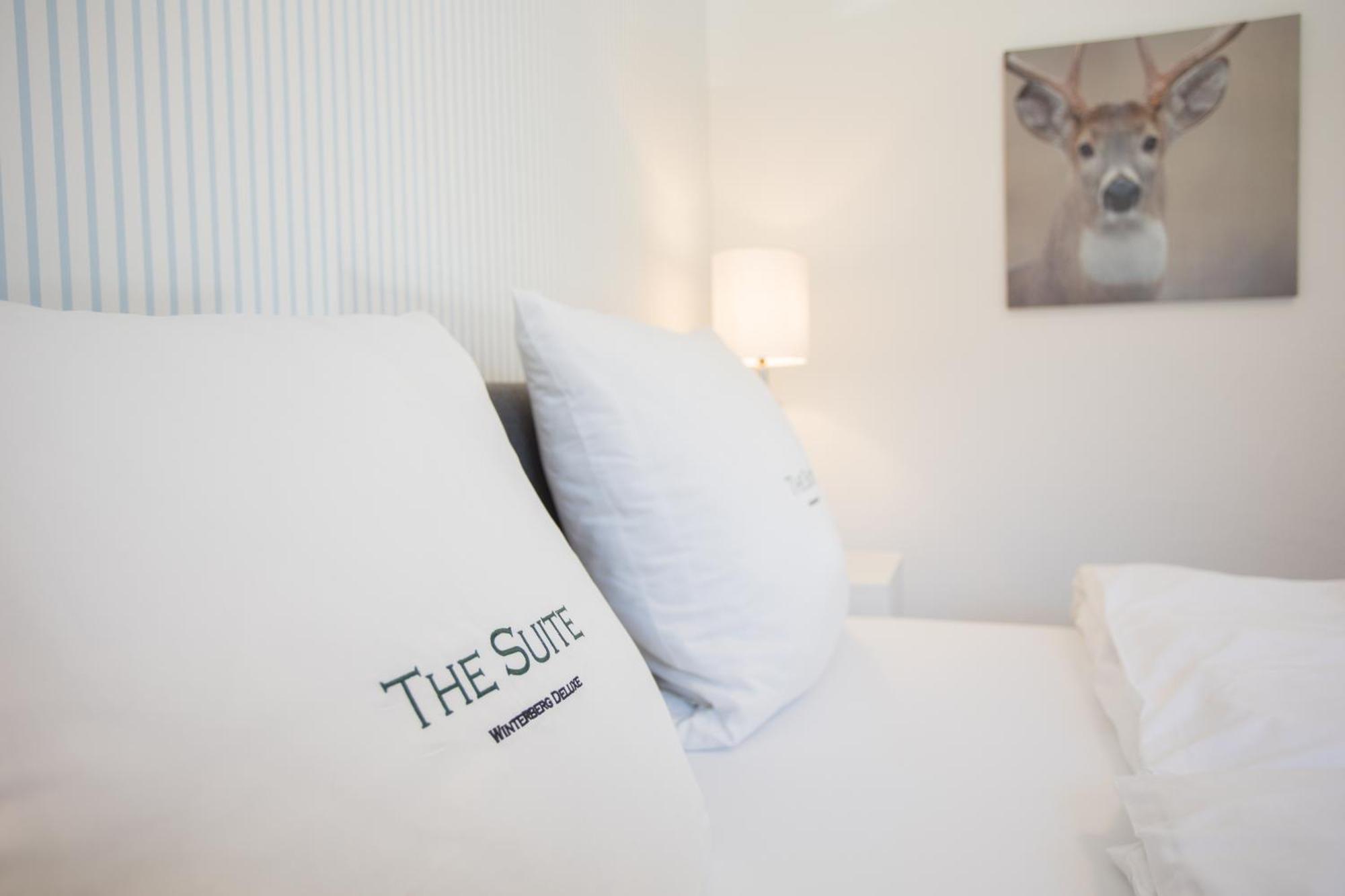 The Suite Winterberg Deluxe - Exklusive Ausstattung, Bestlage Zwischen Skikarussell Und Marktplatz, Eigener Garten, Ski- Und Fahrradraum, Ruhige Suedausrichtung, Wlan, Hundefreundlich Exterior photo